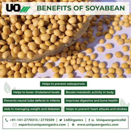 Benefits Of Soybean seed